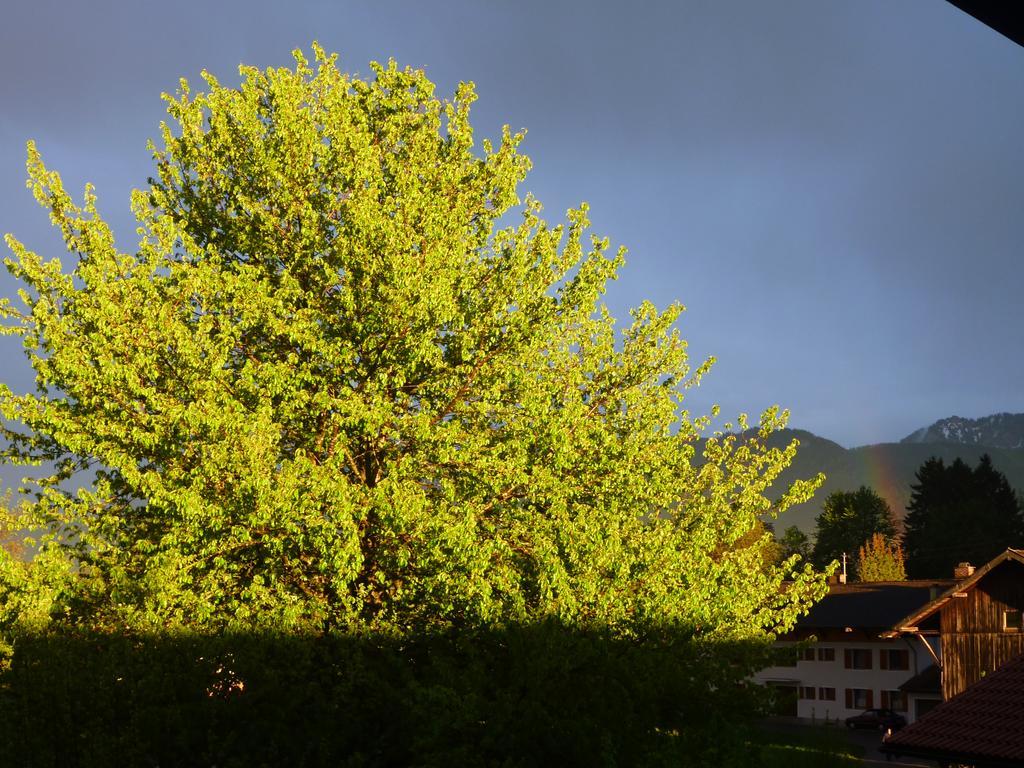 Apartments Donebauer Übersee エクステリア 写真